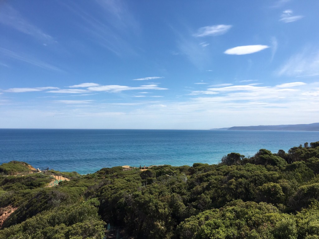 The gorgeous view of the Pacific from the Lighthouse view point 